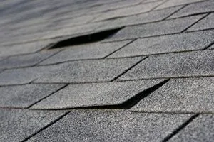 roof shingles