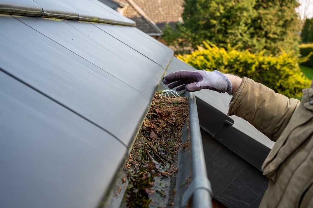 gutter cleaning